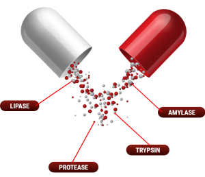 capsual-infographics